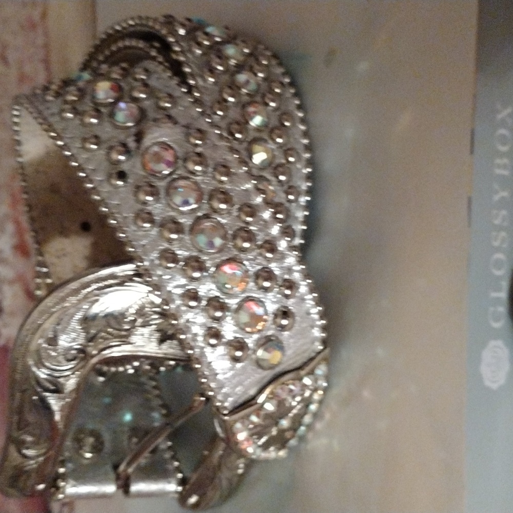 Silver Kippy belt